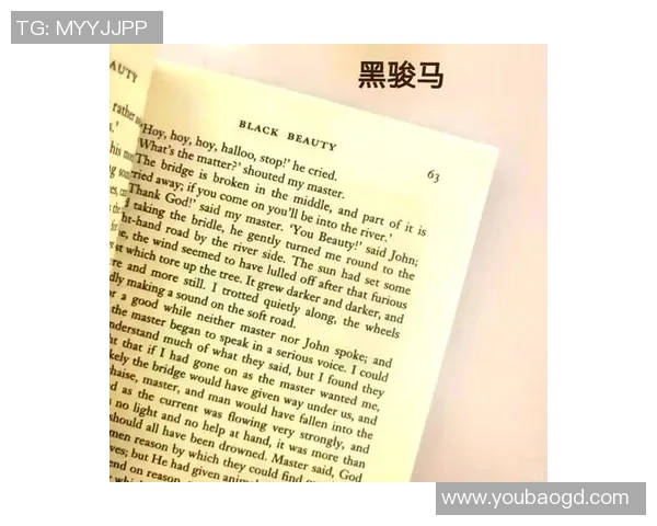 炸辫子球星再度闪耀赛场他的传奇故事与成长历程揭秘